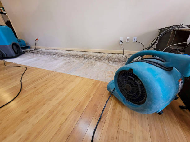 Professional Ceiling Water Damage Repair technician working in Greer, SC